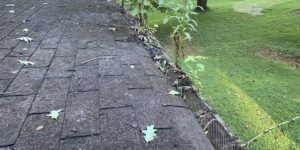 Gutter Screen Removal Athens GA