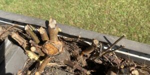 Commercial Gutter Cleaning Athens GA